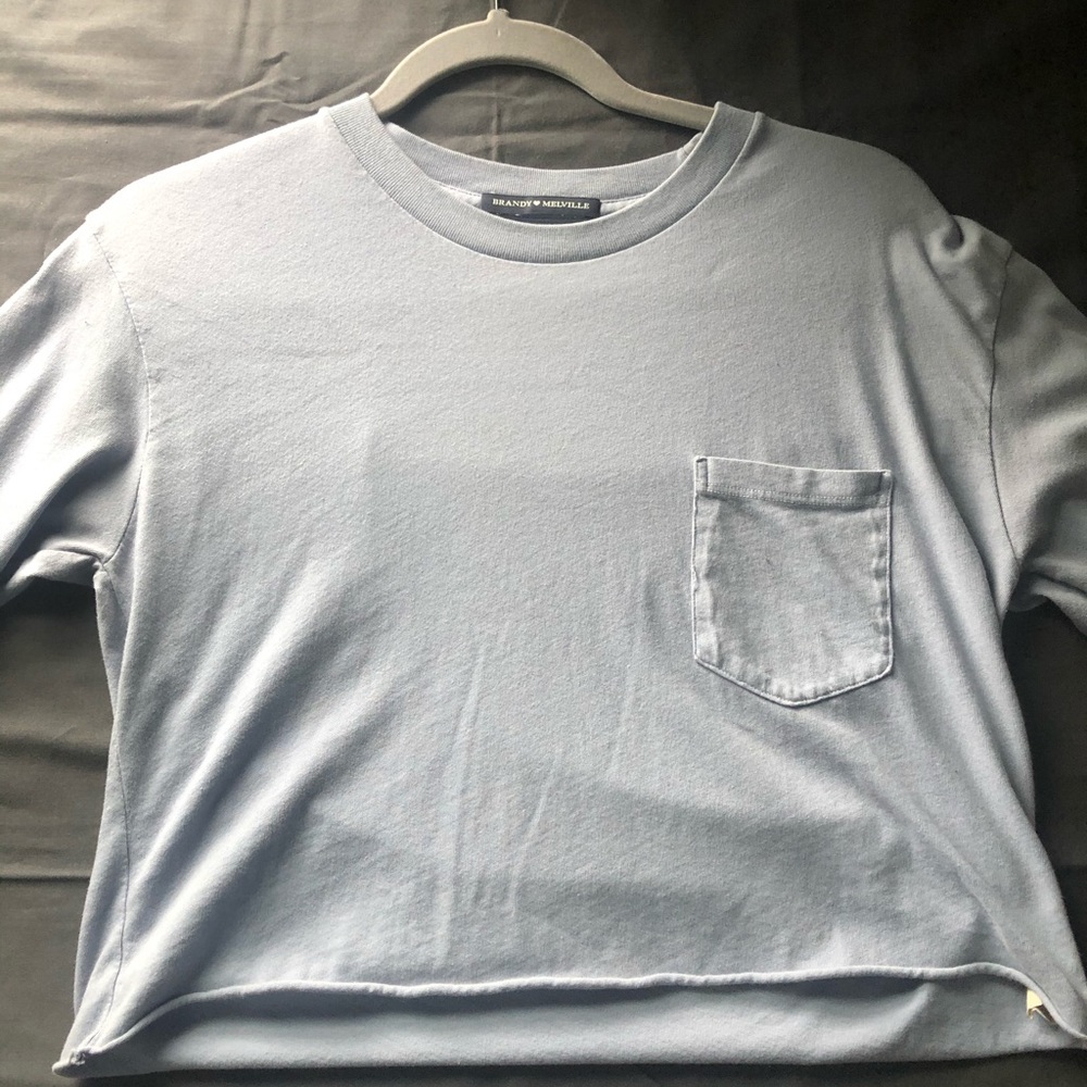 Brandy Melville Long Sleeve Crop Top